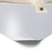 ソアリングガルル フォトプリント            (角)