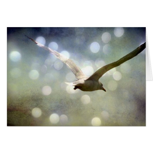 ソアリングシーガルすべての行事カード (正面横)