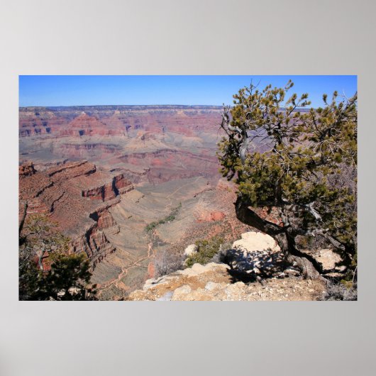 ソアリングハイツ ポスター (正面)