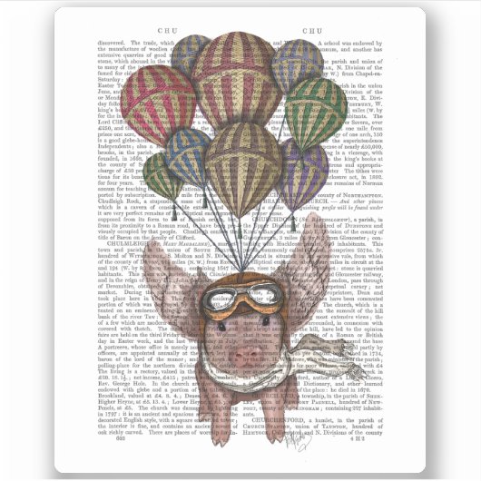 ソアリングピグ シール (正面)