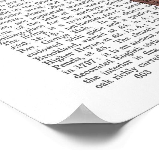 ソアリングピグ ポスター (角)