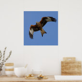 ソアリングレッドカイトプリント ポスター (キッチン)