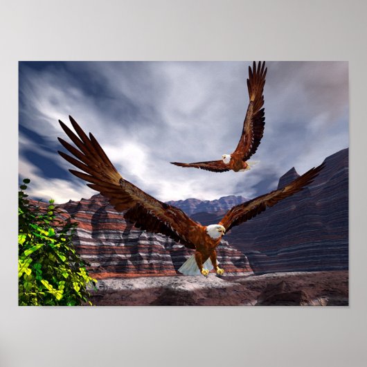 ソアリング ポスター (正面)