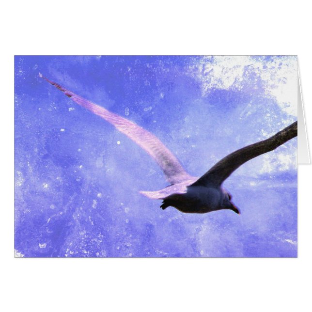 ソアーすべての行事 (正面横)