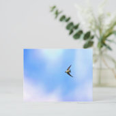 ソアー ポストカード (スタンド正面)