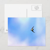 ソアー ポストカード (正面/裏面)