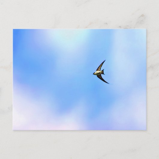 ソアー ポストカード (正面)