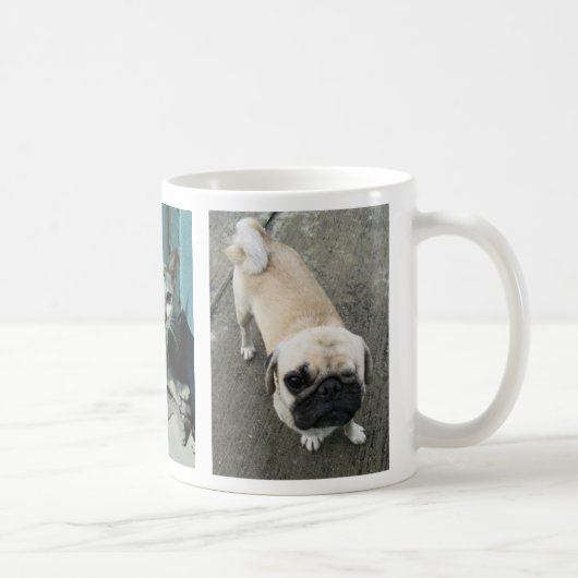 ソイ犬2匹と猫1匹…タイ コーヒーマグカップ (右)