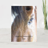 ソウルの馬の顔のクローズアップ写真 カード (裏面)