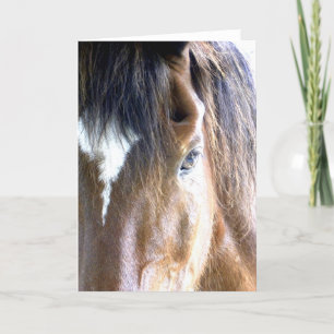 ソウルの馬の顔のクローズアップ写真 カード