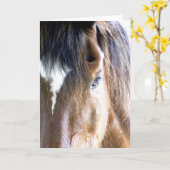 ソウルの馬 顔アップ 写真 カード (黄色い花)