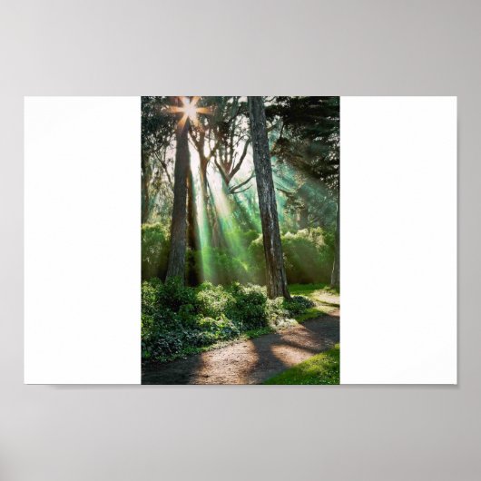 ソウルシャイン ポスター (正面)