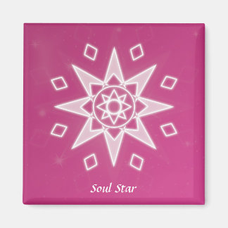 ソウルスター マグネット