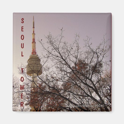 ソウルタワー/韓国ソウル南山公園 マグネット (正面)