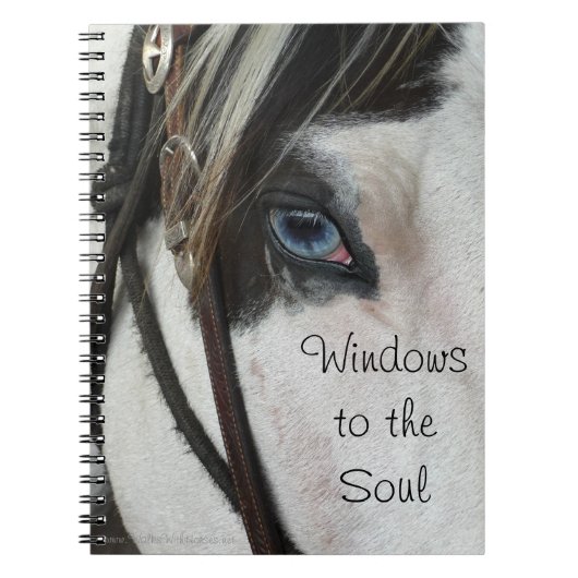 ソウルノートブックまたはジャーナルへの馬窓 ノートブック (正面)