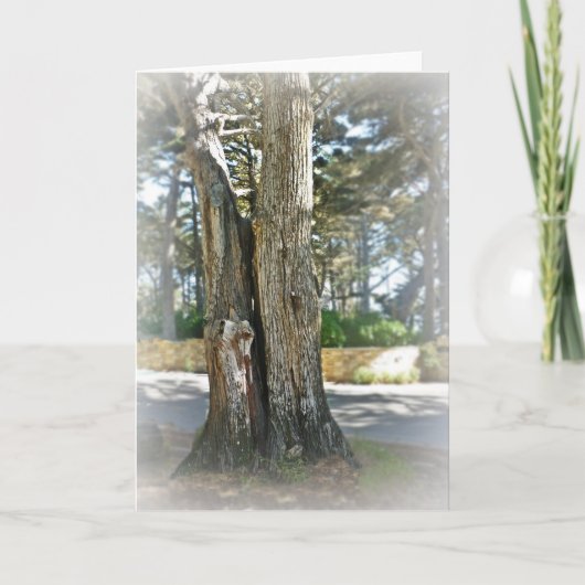 ソウルメイト カード (正面)