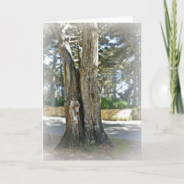 ソウルメイト カード