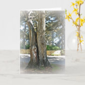 ソウルメイト カード (黄色い花)