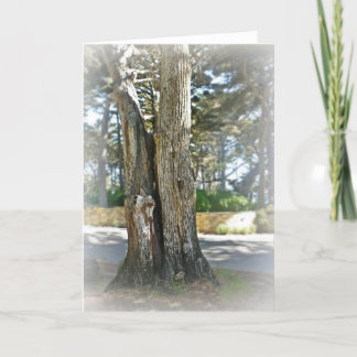 ソウルメイト カード