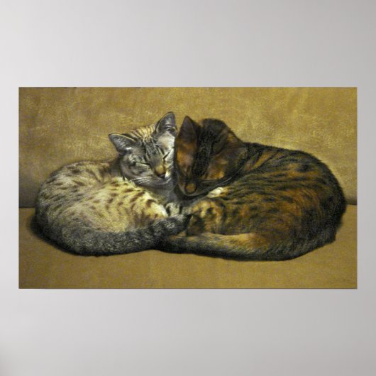 ソウルメイト ポスター (正面)