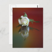 ソウルメイト ポストカード (正面/裏面)