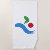 ソウル国旗（韓国） ビーチタオル (正面)