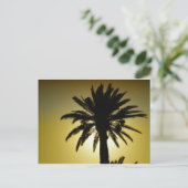 ソウレパルミエ ポストカード (スタンド正面)