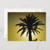 ソウレパルミエ ポストカード (正面/裏面)