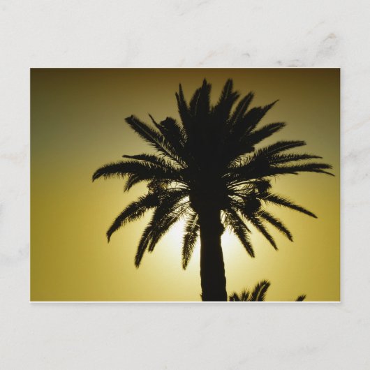 ソウレパルミエ ポストカード (正面)