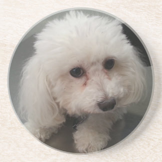 ソエのコースター コースター