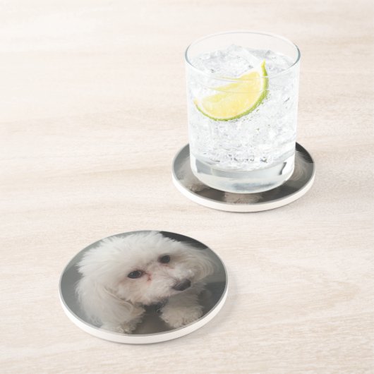 ソエのコースター コースター (側面)