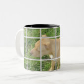 ソエは写真をタイルを張りました ツートーンマグカップ (正面左)