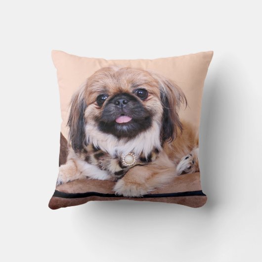 ソエ- Pekingese クッション (裏面)