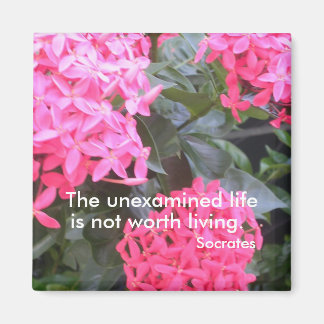 ソクラテスやる気を起こさせるト引用磁石 マグネット