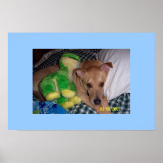 ソクラテス ポスター