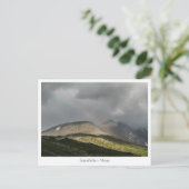 ソグネフェレットノルウェー ポストカード (スタンド正面)