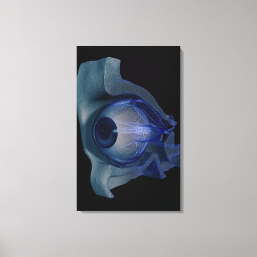 ソケットの眼筋の3dワイヤフレーム キャンバスプリント (正面)