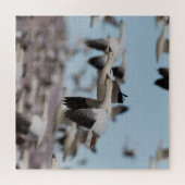 ソコロの空で爆発する ジグソーパズル (横)