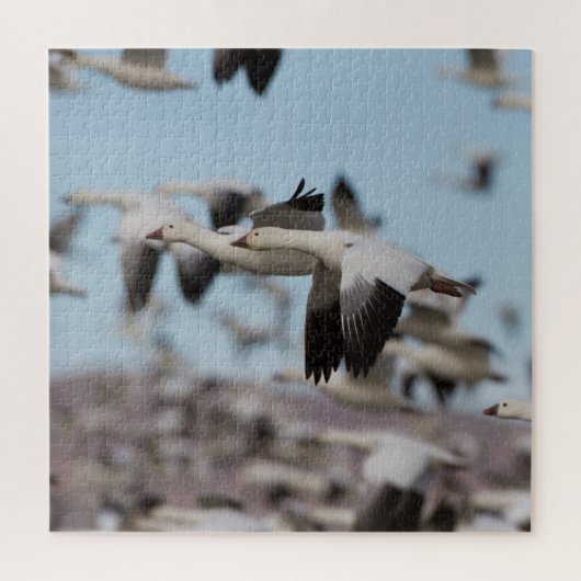 ソコロの空で爆発する ジグソーパズル (縦)