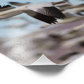 ソコロの空で爆発する フォトプリント            (角)