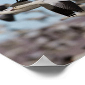 ソコロの空で爆発する ポスター (角)