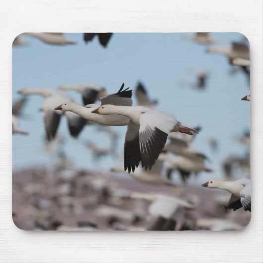 ソコロの空で爆発する マウスパッド (正面)