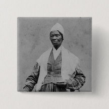 ソジョーナー・トゥルーナー選挙区民権の廃止