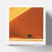 ソススブレイの赤い砂丘 フェイバーボックス (上部)