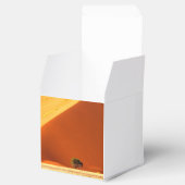 ソススブレイの赤い砂丘 フェイバーボックス (オープン)