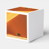 ソススブレイの赤い砂丘 フェイバーボックス (裏面サイド)