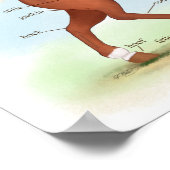 ソックス&ブレーズ馬の解剖学のポスター付きソレル ポスター (角)