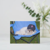 ソックス ポストカード (スタンド正面)