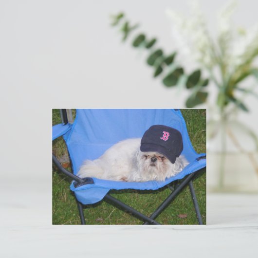 ソックス ポストカード (スタンド正面)