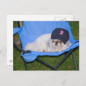 ソックス ポストカード (正面/裏面)